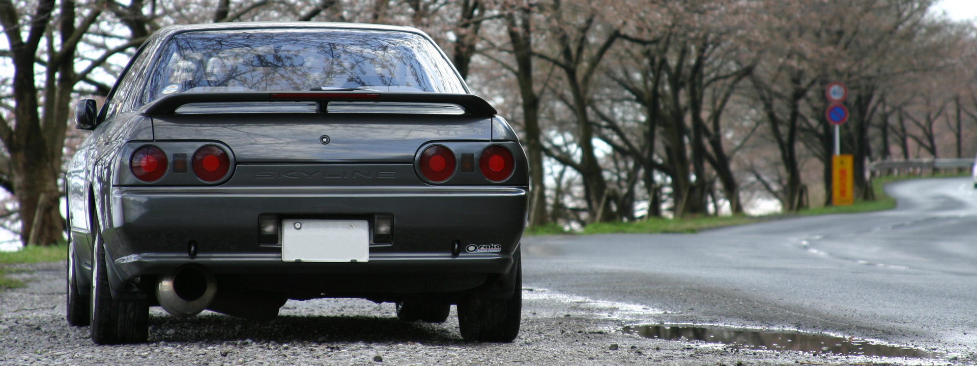 Skyline GTS-t Type M