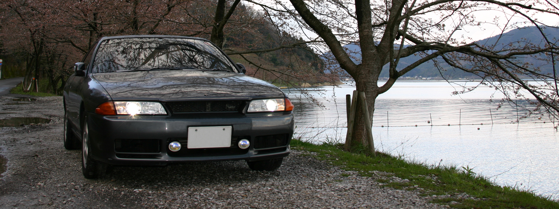 Skyline GTS-t Type M